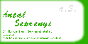 antal seprenyi business card